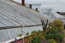 Greenhouse, Clumber Park, Worksop